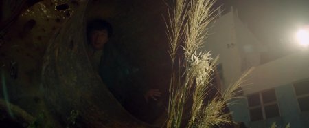 По следу (2016)