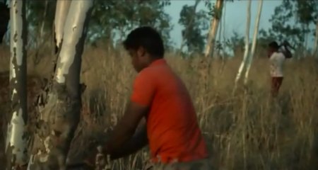 Тити (2015) Тити (2015)