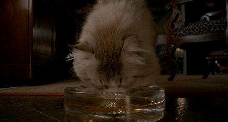 Девять жизней (2016) Девять жизней (2016)