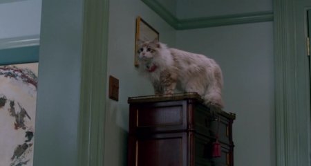 Девять жизней (2016) Девять жизней (2016)