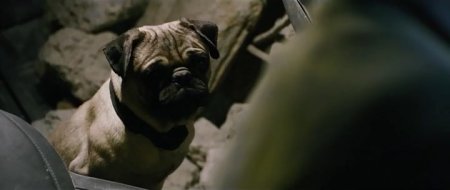 Тоннель (2016)