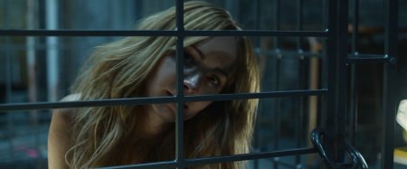 Питомец (2016)