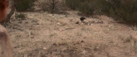 В долине насилия (2016) В долине насилия (2016)