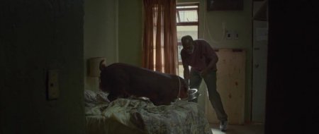 Мистер Свин (2016)