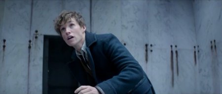 Фантастические твари и где они обитают (2016)