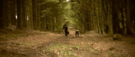 Мир роботов (2015)