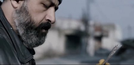 Безумие (2015)