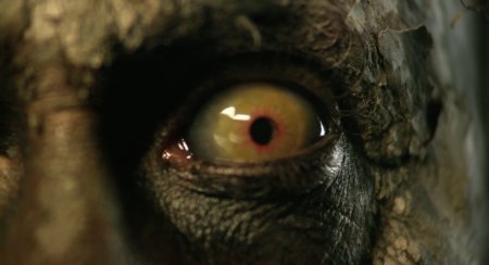 Демон дерева (2016)