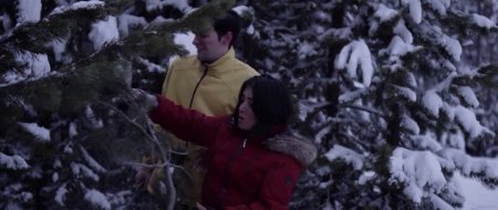 Зов волка (2016)