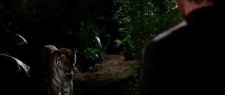 Золото (2016) Золото (2016)