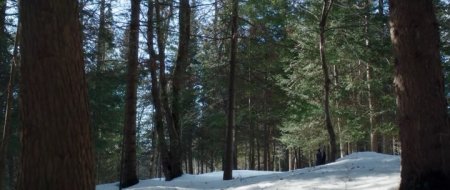 Взаперти (2016)