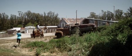 Любительница собак (2016) Любительница собак (2016)