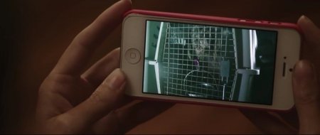 Любительница собак (2016) Любительница собак (2016)