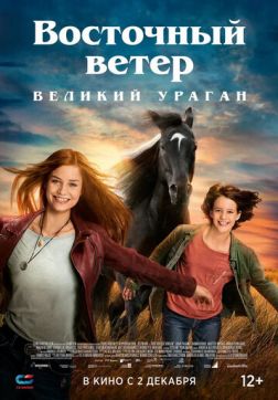 Фильм Восточный ветер. Великий ураган(2021)