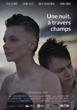 Фильм Однажды ночью через поля (2020)