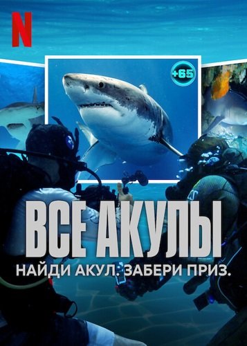 Фильм Все акулы (1 сезон)