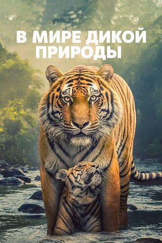 Фильм В мире дикой природы (1 сезон)