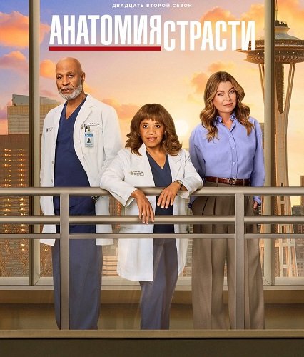 Фильм Анатомия страсти (22 сезон)