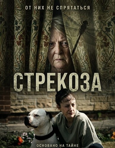 Фильм Стрекоза (2025)